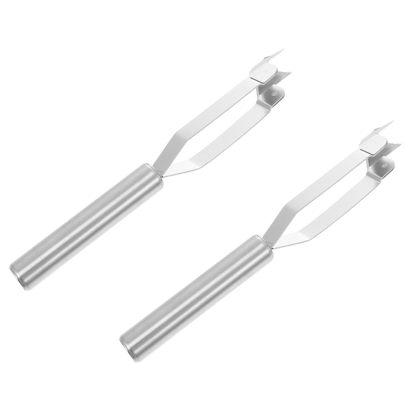 2Pcs Stainless Steel Pineapple - Kitchen Gadgets Store 리뷰 및 가격