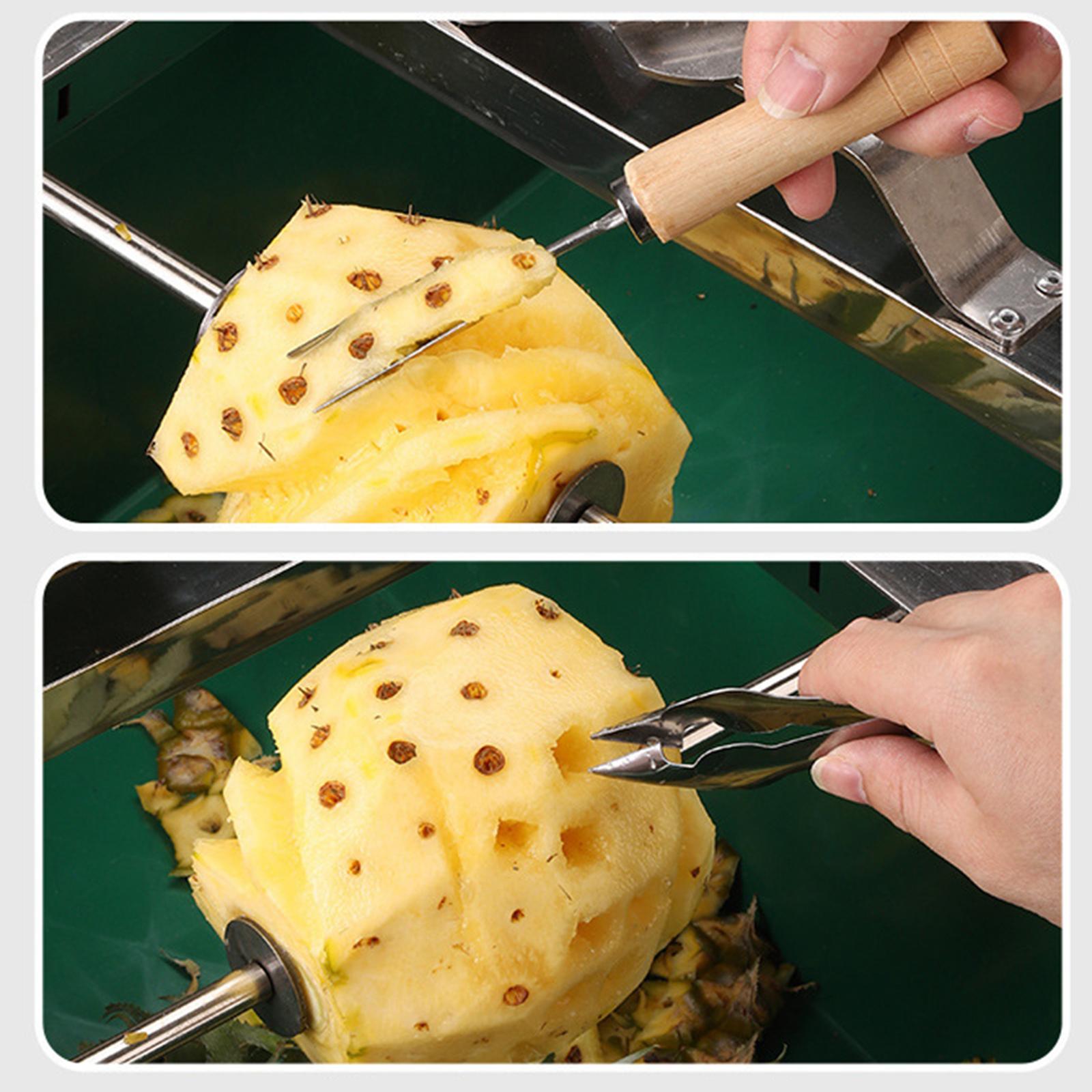 Pineapple Peeling Tool Sturdy  - Kitchen Gadgets Store 리뷰 및 가격