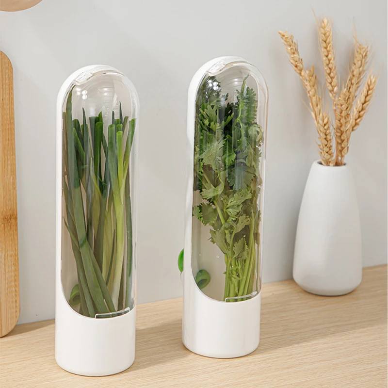 1 Pc Vegetable Preserving Bott - Kitchen Gadgets Store 리뷰 및 가격