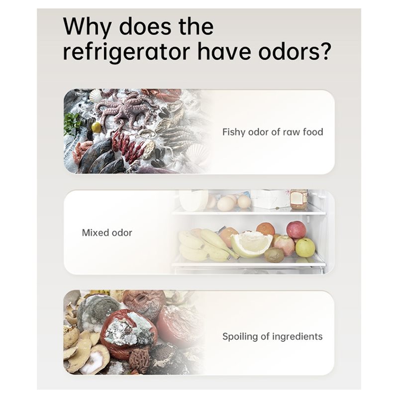 2025-Refrigerator Deodorizer O - Kitchen Gadgets Of 2025 리뷰 및 가격