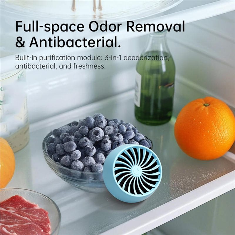 2025-Refrigerator Deodorizer O - Kitchen Gadgets Of 2025 리뷰 및 가격
